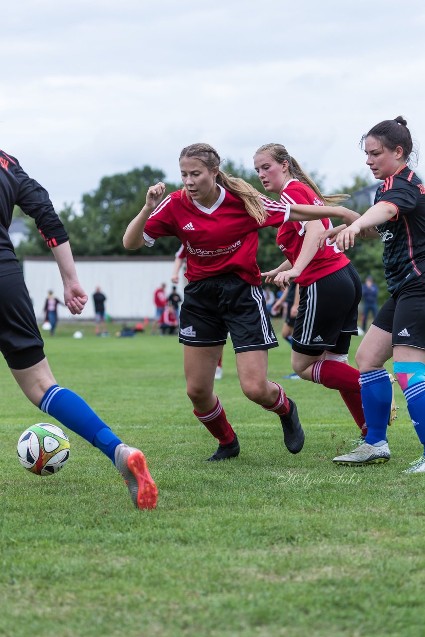 Bild 134 - Frauen SG NieBar - HSV 2 : Ergebnis: 4:3